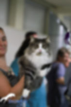 received_297692284166741 (1).jpeg