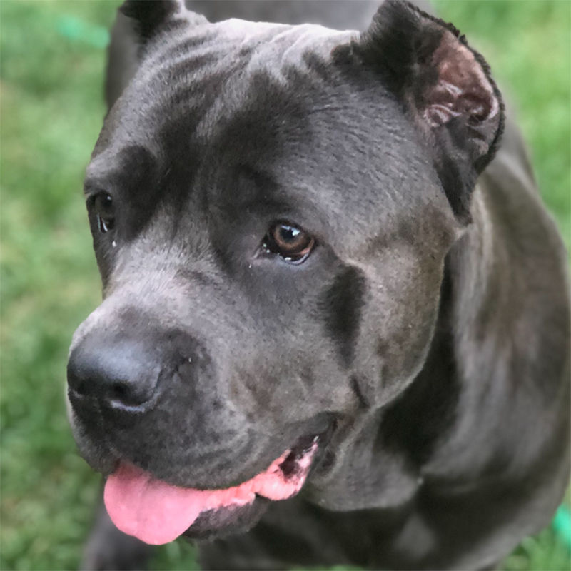 Rally Intermediate/Advanced Class