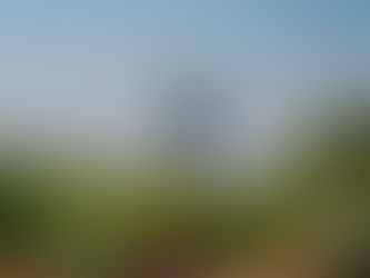 The Majestic Statue of Unity: A Symbol of India's Unity and Diversity