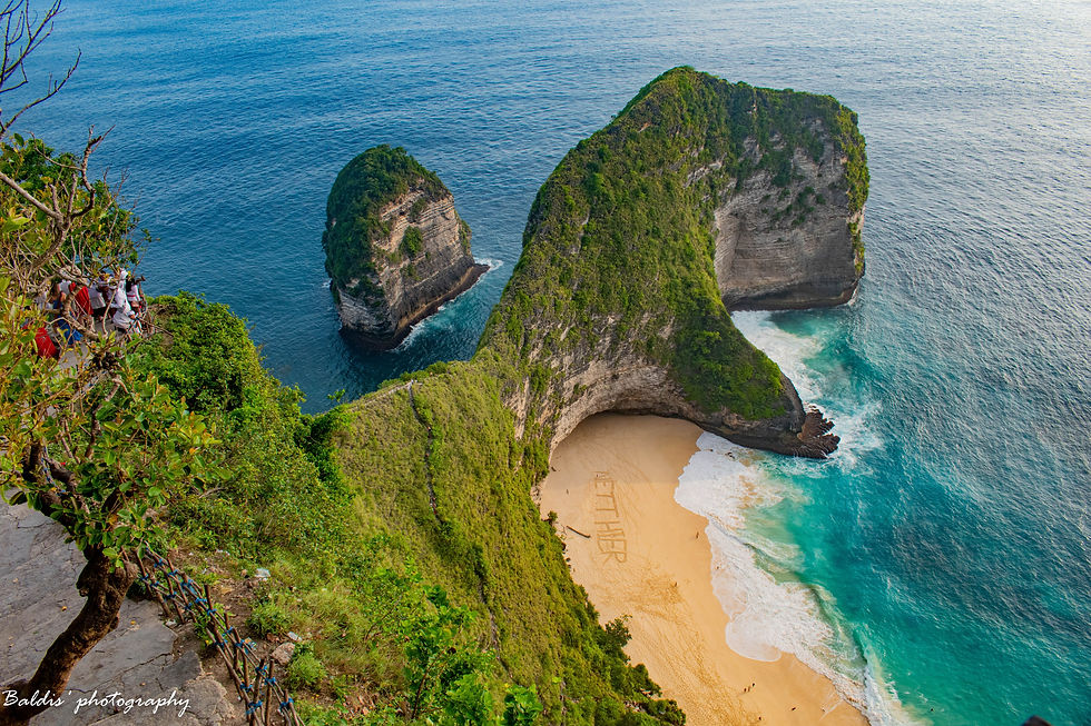 An Indonesian Odyssey