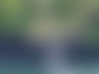 Sundarbans Travel Guide: Exploring the World’s Largest Mangrove Forest