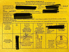 "Everything You Need to Know About Getting a Yellow Fever Vaccination in Mumbai"