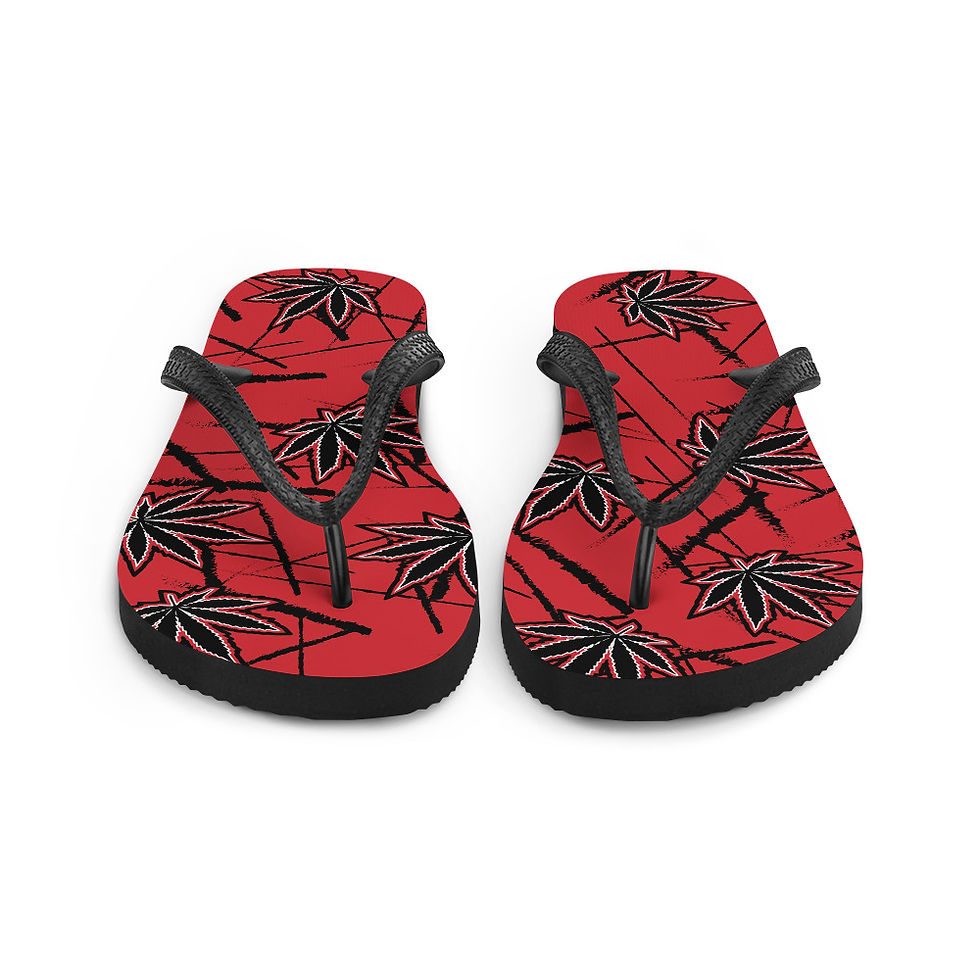 Thumbnail: Loud Flip-Flops