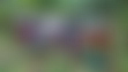 Oficinas do SAFISP fortalecem colheita do açaí e mandioca em comunidades da Resex Terra Grande Pracuúba