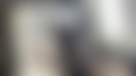 The Ultimate Guide for Flying with A Pet