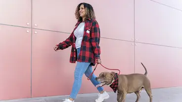 3 Adorable Matching Dog and Owner Outfit Ideas