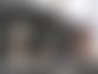 How to Choose and Book Pet-Friendly Car Rental