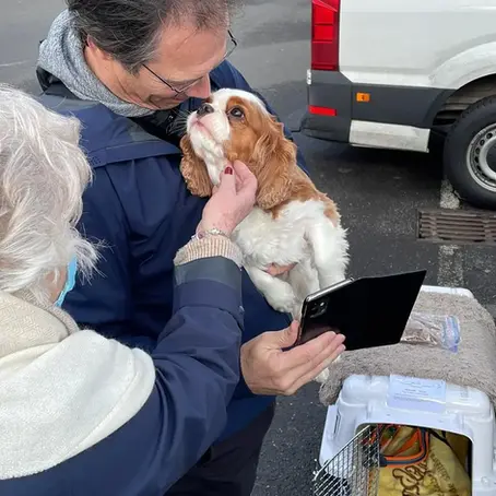 dog reunion with owner