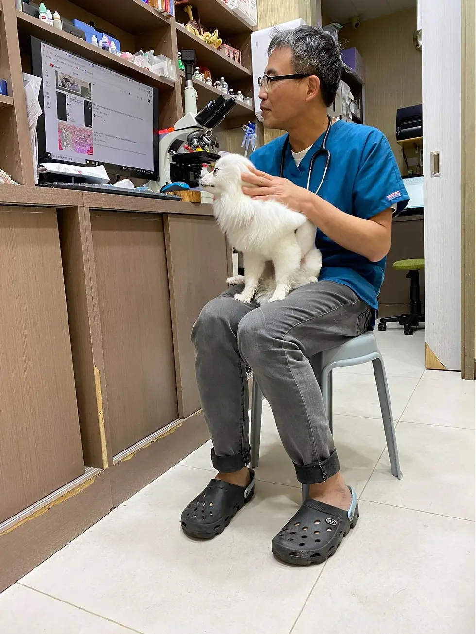 dog with vet