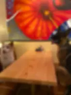 dogs on a restaurant