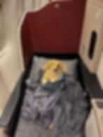 dog lying down with a blanket on a cabin plane