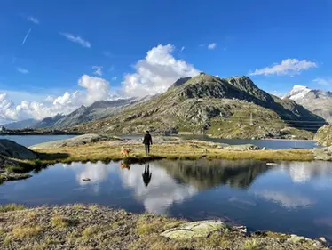 Paws Up! 7 Most Dog-Friendly Cities in Europe You Will Love