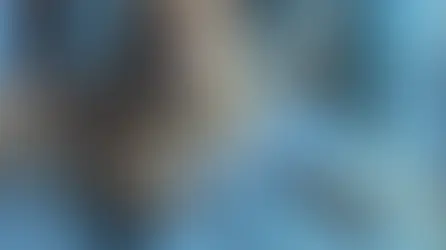 Pet-Friendly Hotel when Travelling with Your Pet