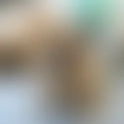 What Is a Brachycephalic Dog and Cat?