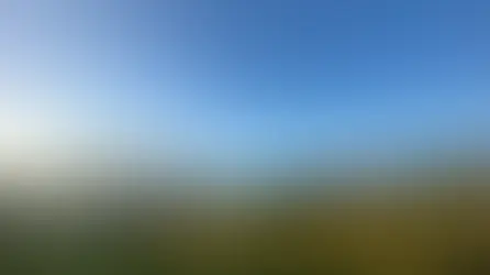 Top 4 Dolomites Hikes You Should Visit with Dogs