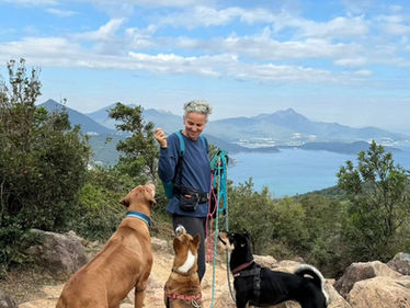 Pet Boarding Facility: Top 3 Best Options for You