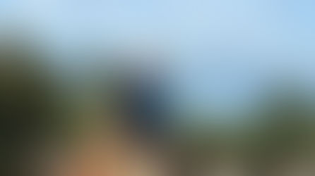 Pet Boarding Facility: Top 3 Best Options for You