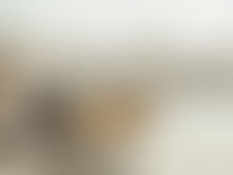 Jeftini letovi Sarajevo – Beč (Vienna) ✈️