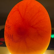 Incubation