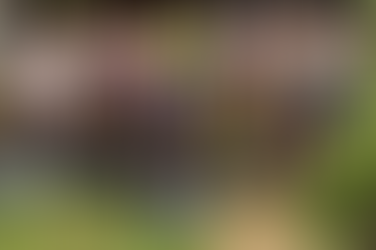 Regional MG/GO promove manhã de reflexão sobre equidade de gênero em celebração ao Dia da Mulher