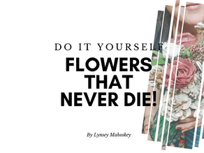 DIY: Flowers That Never Die