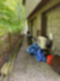 side yard cleanup