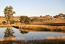 Yarra_valley_edited.jpg