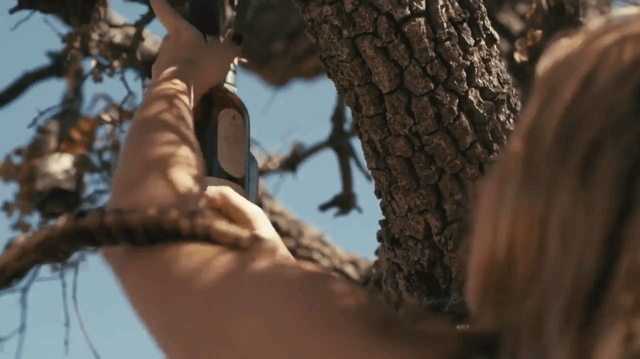 whiskeytree.gif