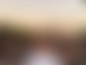 Marcelo Ebrard, felicita a Diputado Carlos Palacios