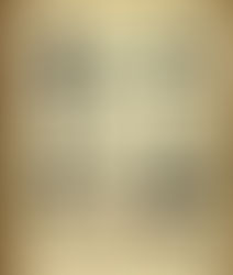 Creative Destruction