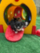 704149583_901664576265299_2961649840660631479_n