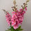 Thumbnail: Delphinium Spray
