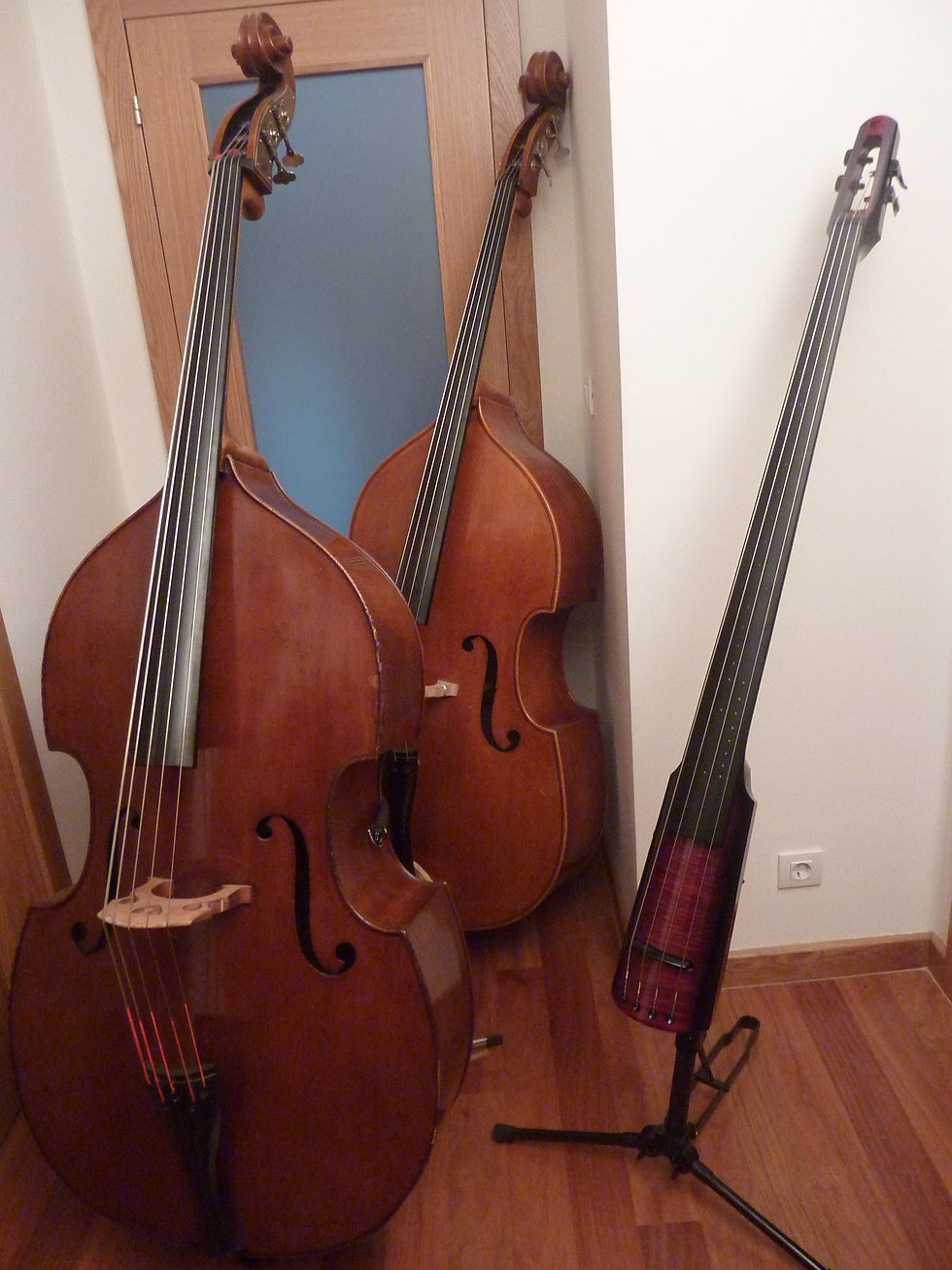 Double Basses