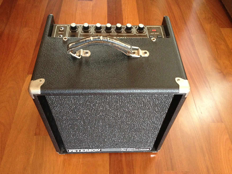 Peterson Amp