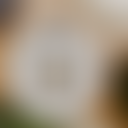 Moda Sustentable: Moda Circular