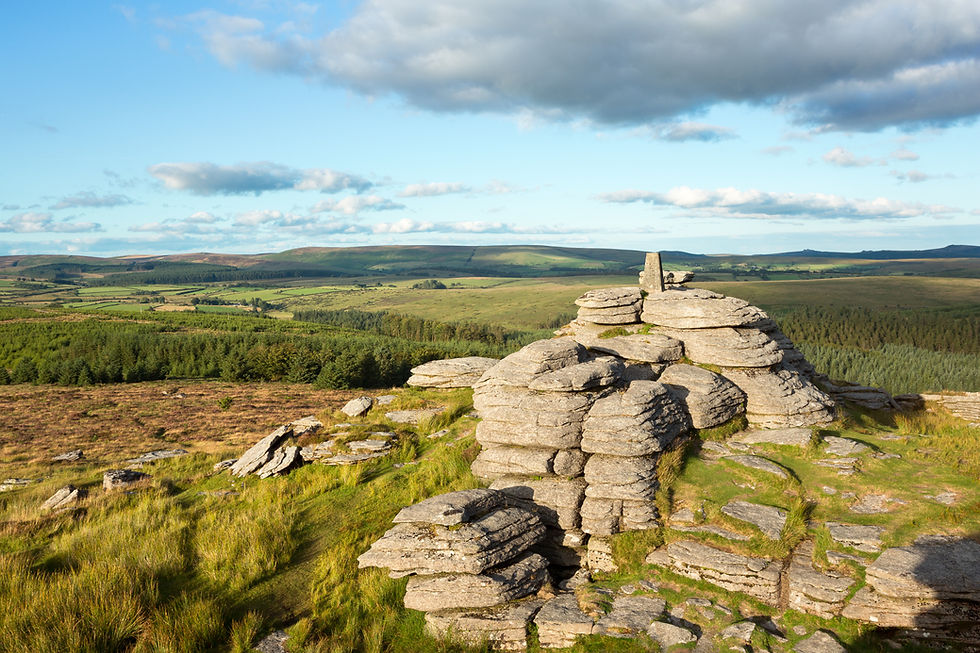 Thumbnail: Discover Dartmoor - 8 Miles - Guided Walk - 19th July 2026