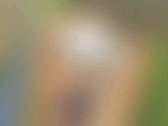 Central Campo Limpo Rosário