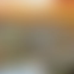 Imagem aérea da Bahia Farm Show