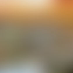 Imagem aérea da Bahia Farm Show