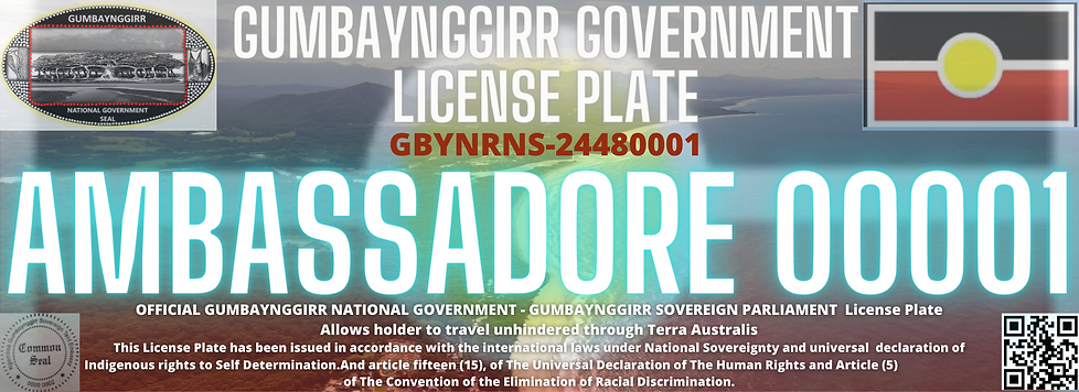 gigbaynggirr 车牌.png
