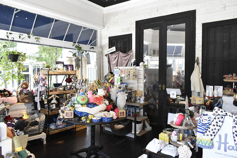 Luxury Pet Shop Hachi Dog Boutique & Spa