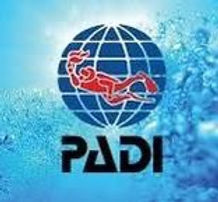 padi.jpg