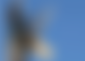OPEN SOLUTION: soluzioni universali e free