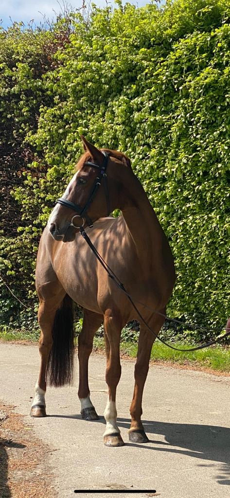 29e2400b-8b5e-4ef3-9390-348026f63723