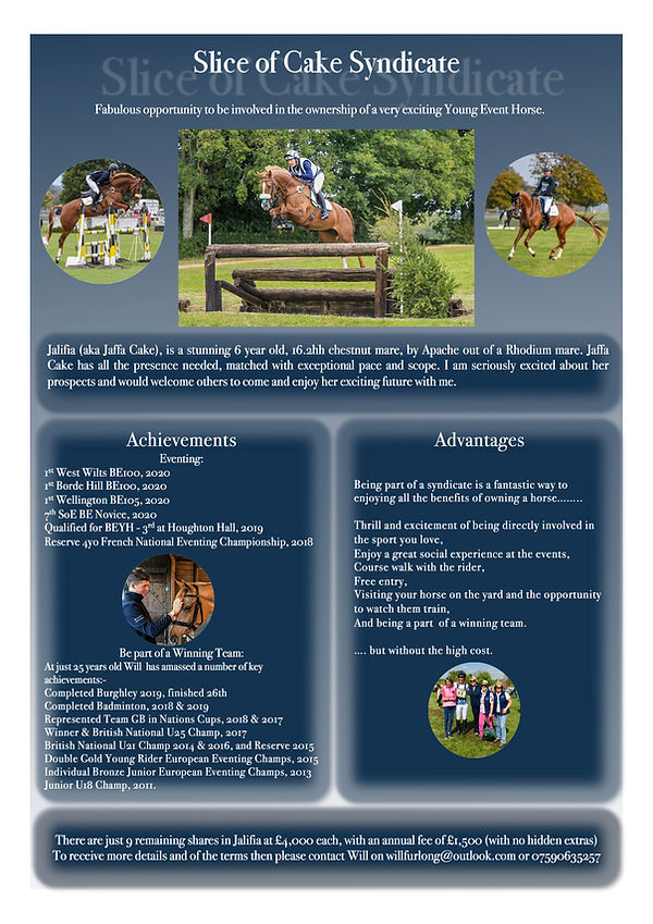 Slice of cake v4cb.jpg