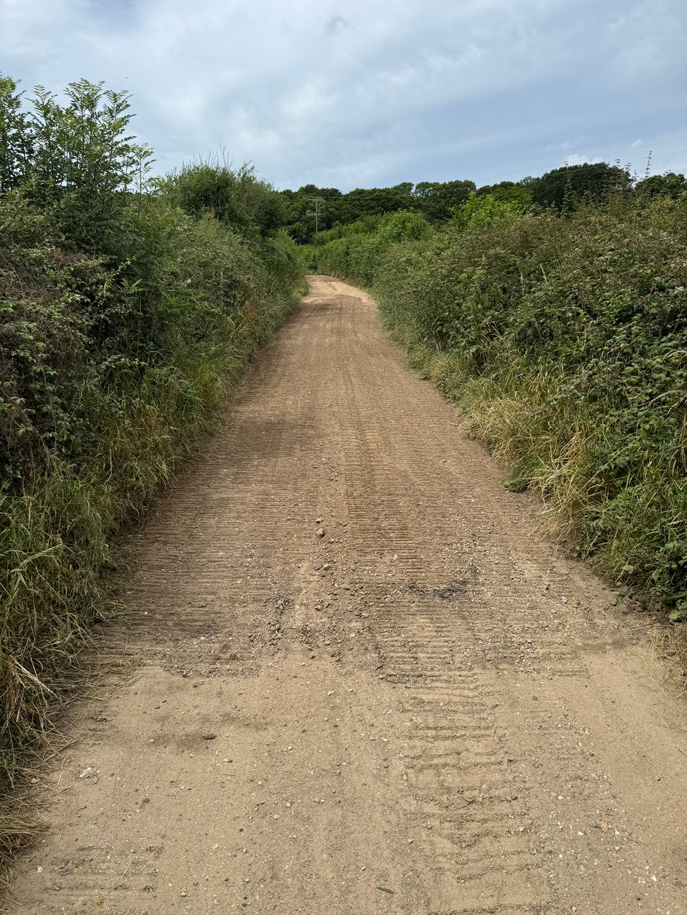 IMG_3919.JPEG