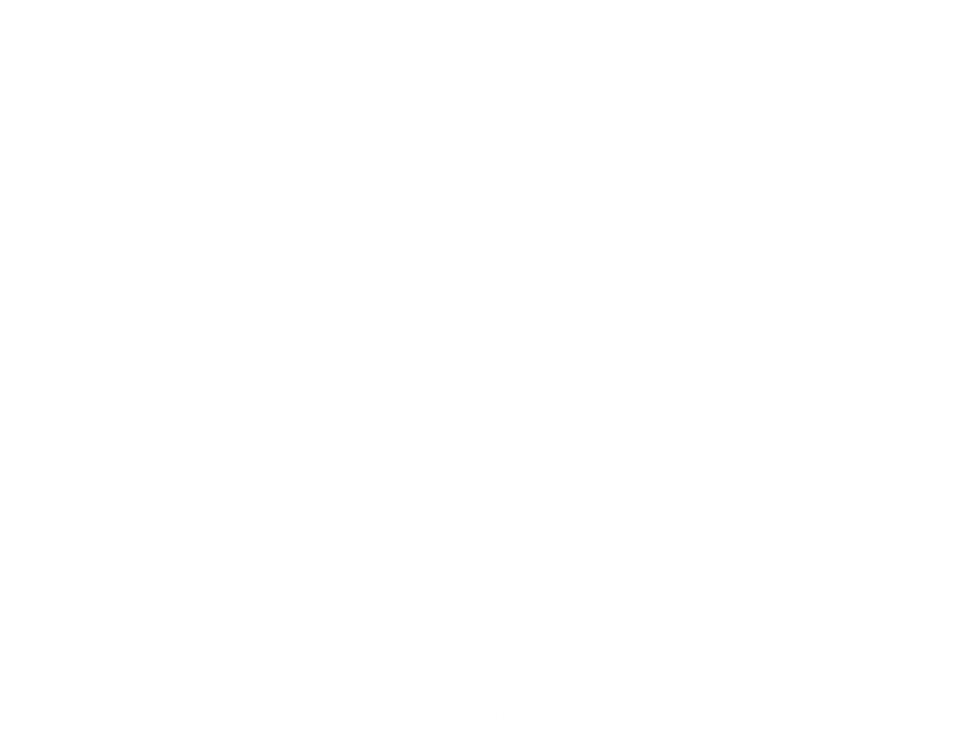 Anchor Commercial Advisors, Commercial Real Estate CRE advisory solutions for corporate occupiers and growing businesses in many industries like office, industrial, healthcare, life sciences, manufacturing, automotive, logistics,  investments, REITs, multi-location portfolio solutions across the United States.