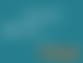 Beyond the Report: Insight-Driven Decisions for Retailers