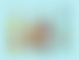 The POS System Built For Multi-Store Liquor Retailers