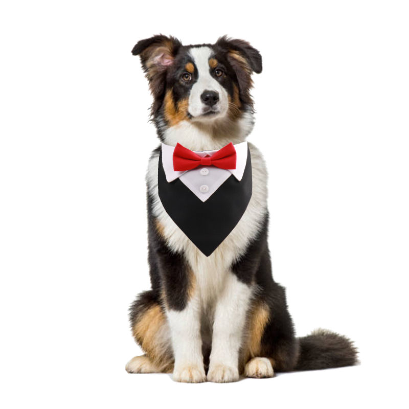 Thumbnail: Formal British Scarf Bow Tie Triangle Dog Collar 